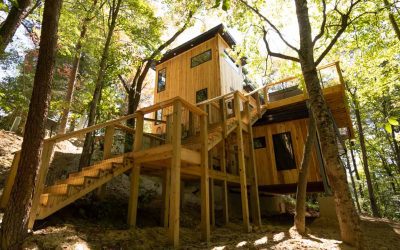 Glamping in Red River Gorge, KY: Stay in a Cozy Tiny Cabin at Hooting Owl Homestead