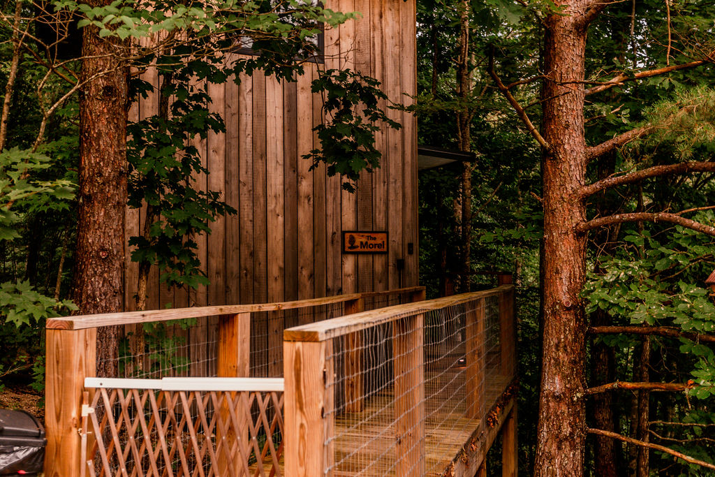 Morel Glamping Cabin with Wifi - Image 5