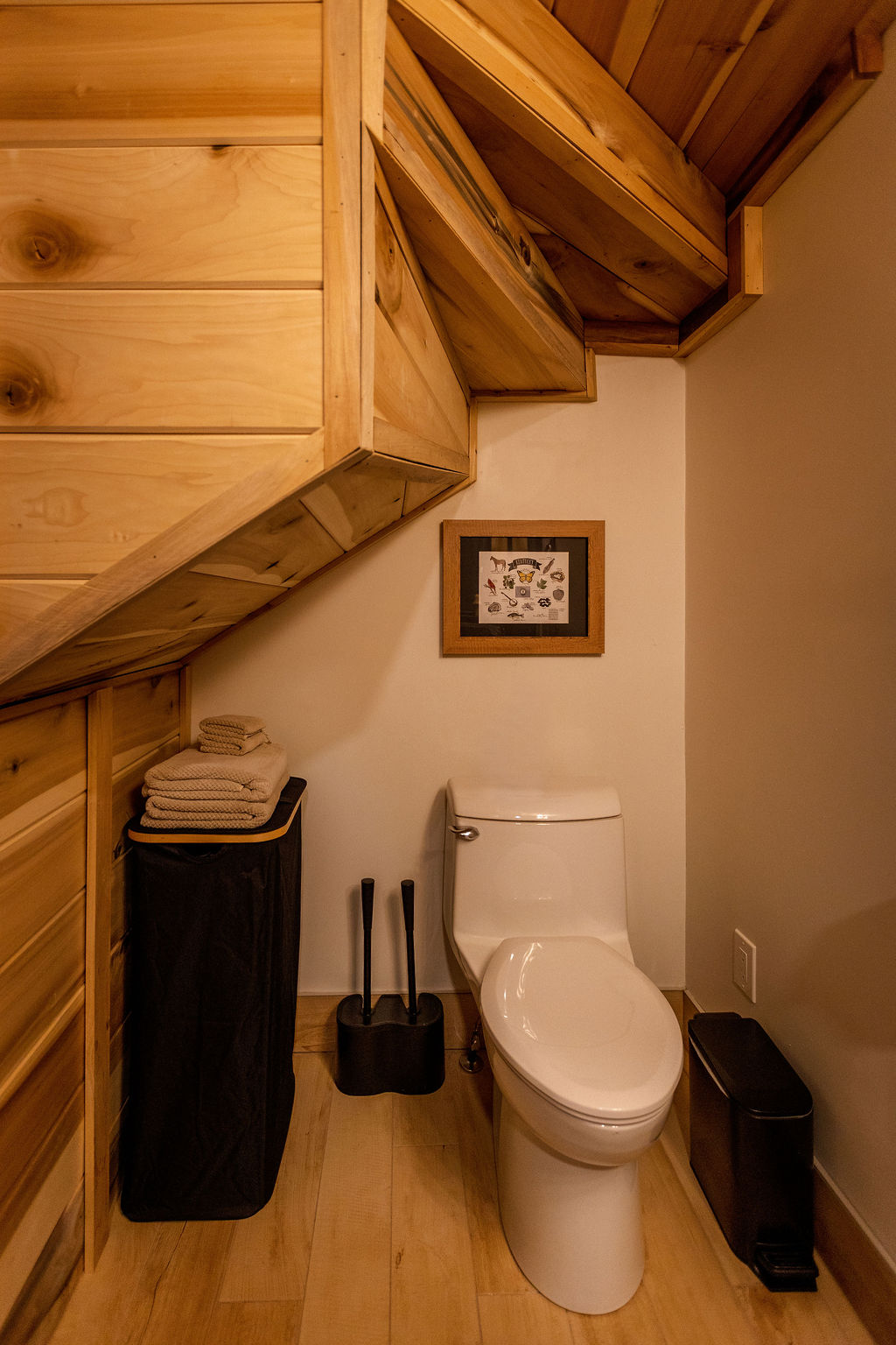 Morel Glamping Cabin with Wifi - Image 20