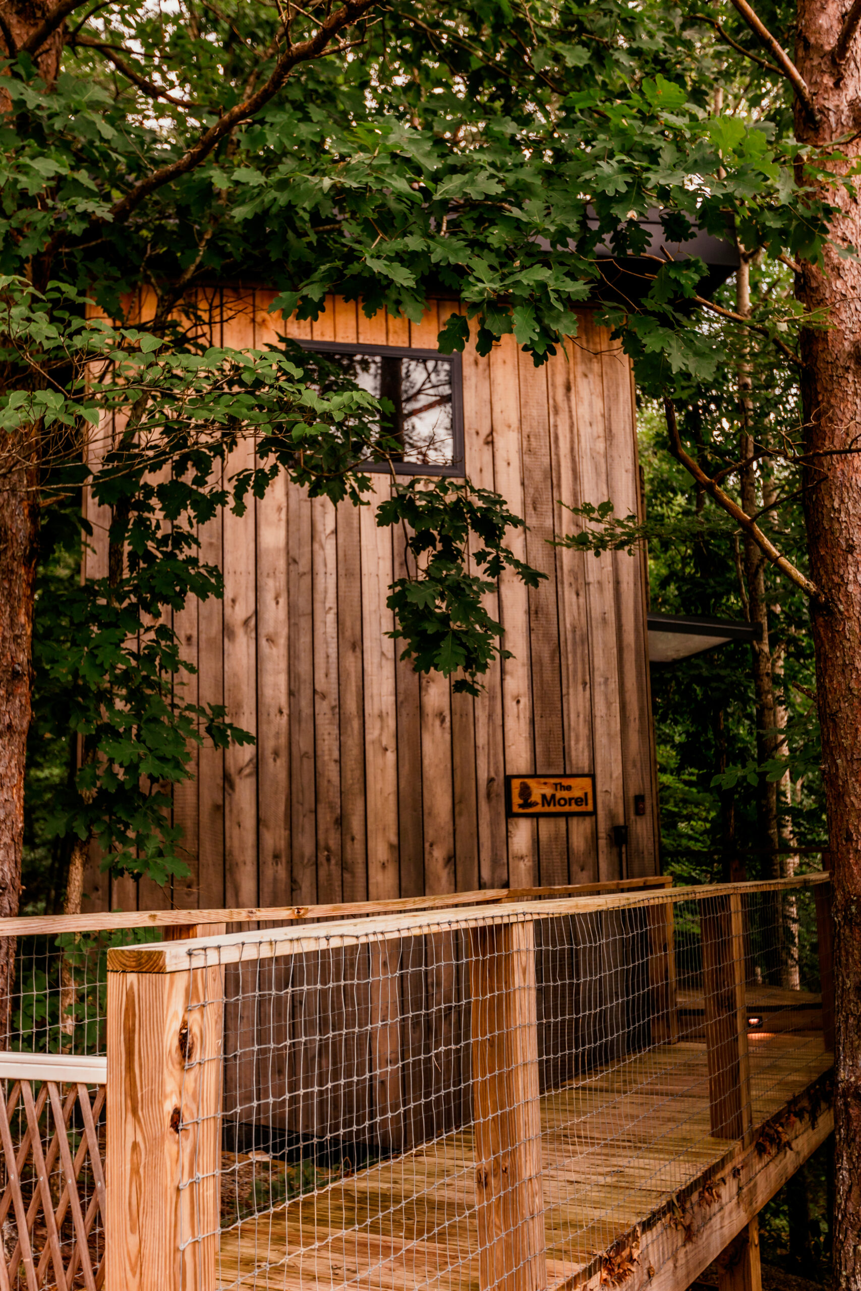 Morel Glamping Cabin with Wifi - Image 2