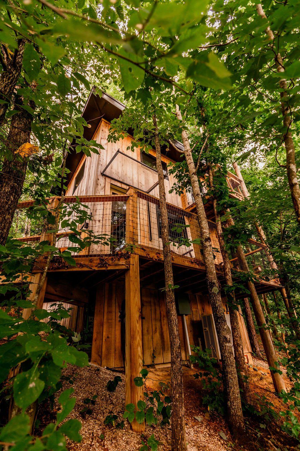 Morel Glamping Cabin with Wifi - Image 7